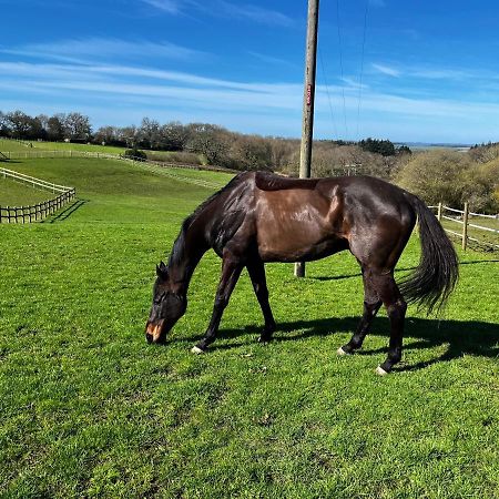 סליסבורי Byre - Farm Cottage On 9 Acre Equestrian Small Holding מראה חיצוני תמונה