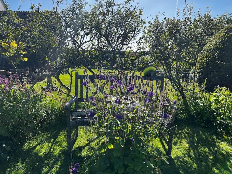 סליסבורי Byre - Farm Cottage On 9 Acre Equestrian Small Holding מראה חיצוני תמונה