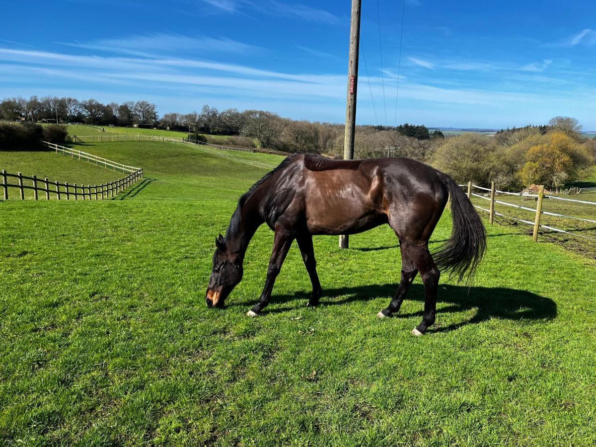 סליסבורי Byre - Farm Cottage On 9 Acre Equestrian Small Holding מראה חיצוני תמונה